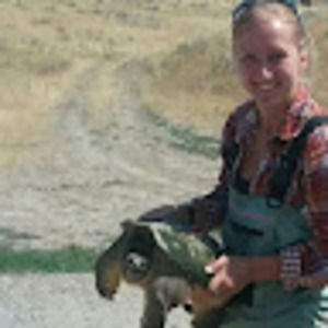 Meet your Posher, Andrhea